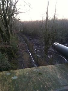 Wild boar decoy set for shooting trip in Forest of Dean or Cheshire, by A1 Decoy Ltd, featuring realistic wild boar decoys on a natural landscape.