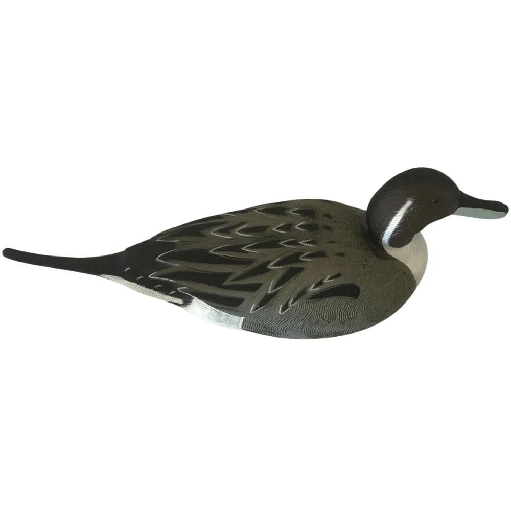 Full-body WINDY Pintail Duck Decoys featuring realistic female pintail duck designs for hunting or decoration.