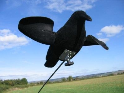 WINDY Air Pro Crow decoy with spinning wings, flocked motion design for magnets and bouncers, realistic bird decoy for hunting or scouting