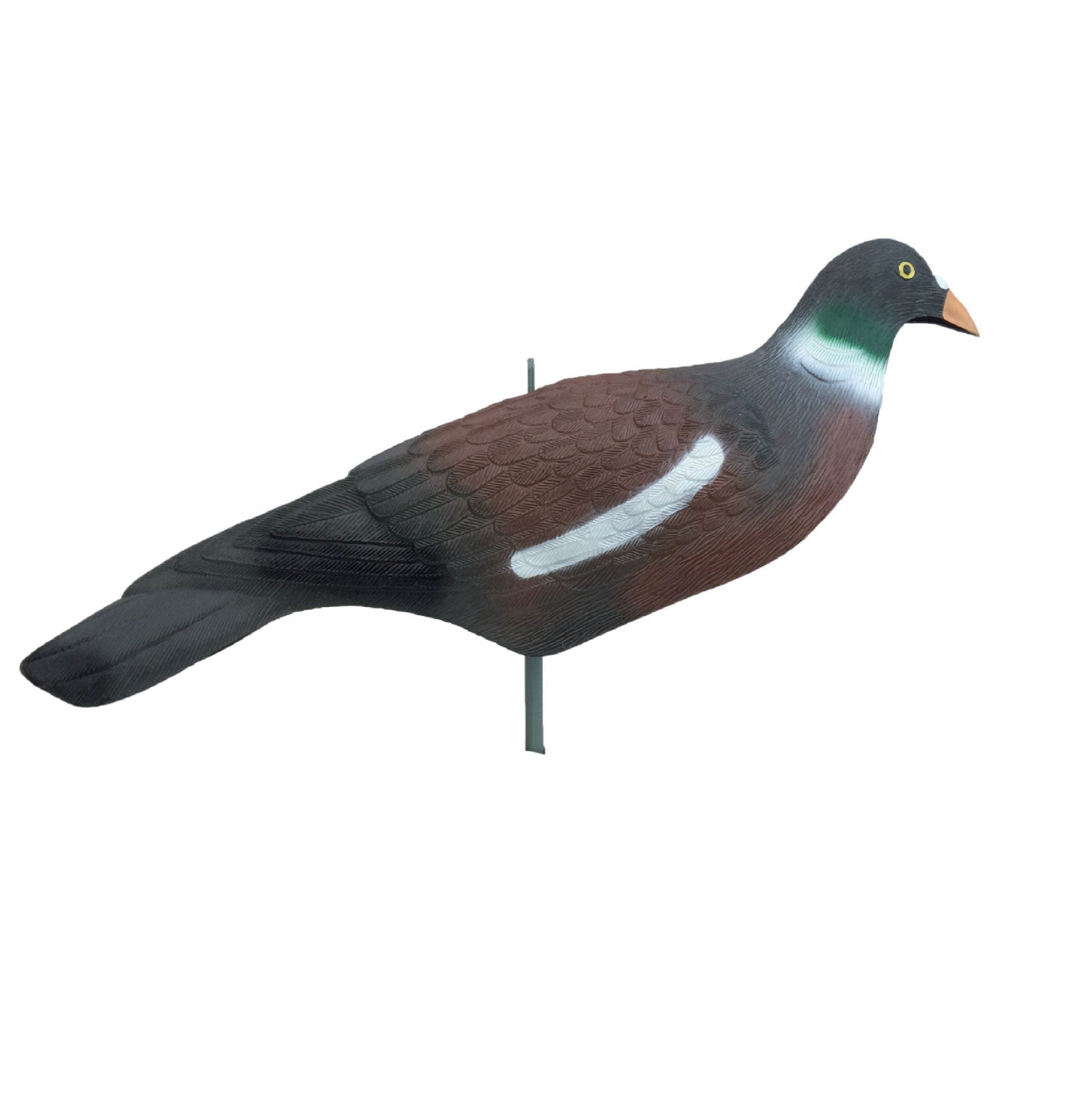 Extra large WINDY Magnum plastic pigeon decoy shell used for hunting and bird control.