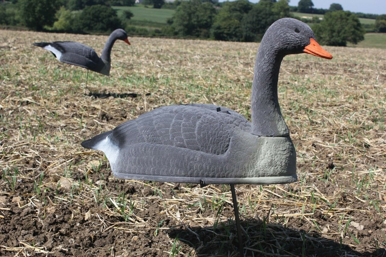 Life-size WINDY Flocked Greylag and Pinkfoot Goose decoy shell, stackable and realistic for hunting or wildlife decoy setups.