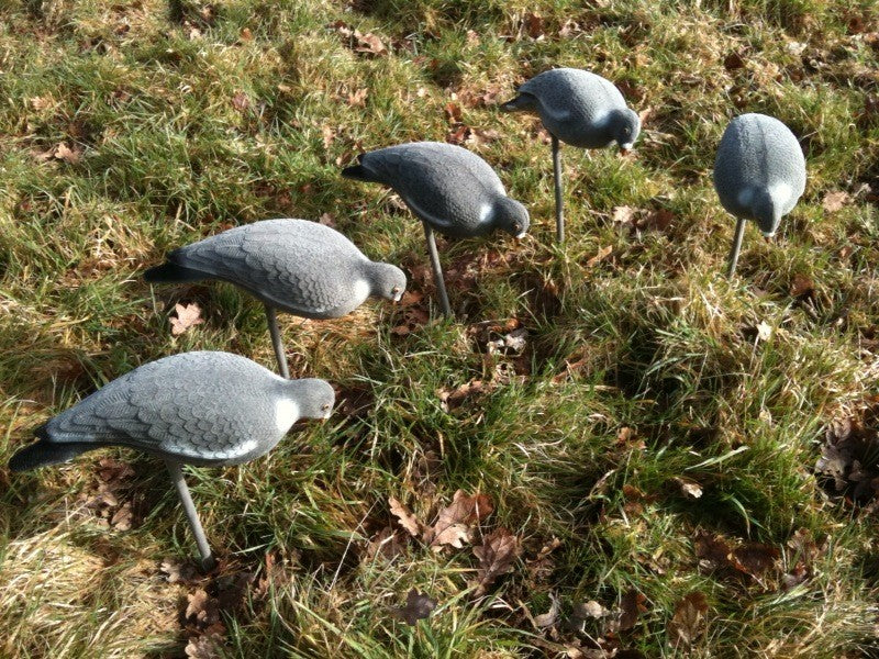Full-bodied flocked feeding pigeon decoy by WINDY with realistic no-shine finish and ground peg for outdoor bird control.
