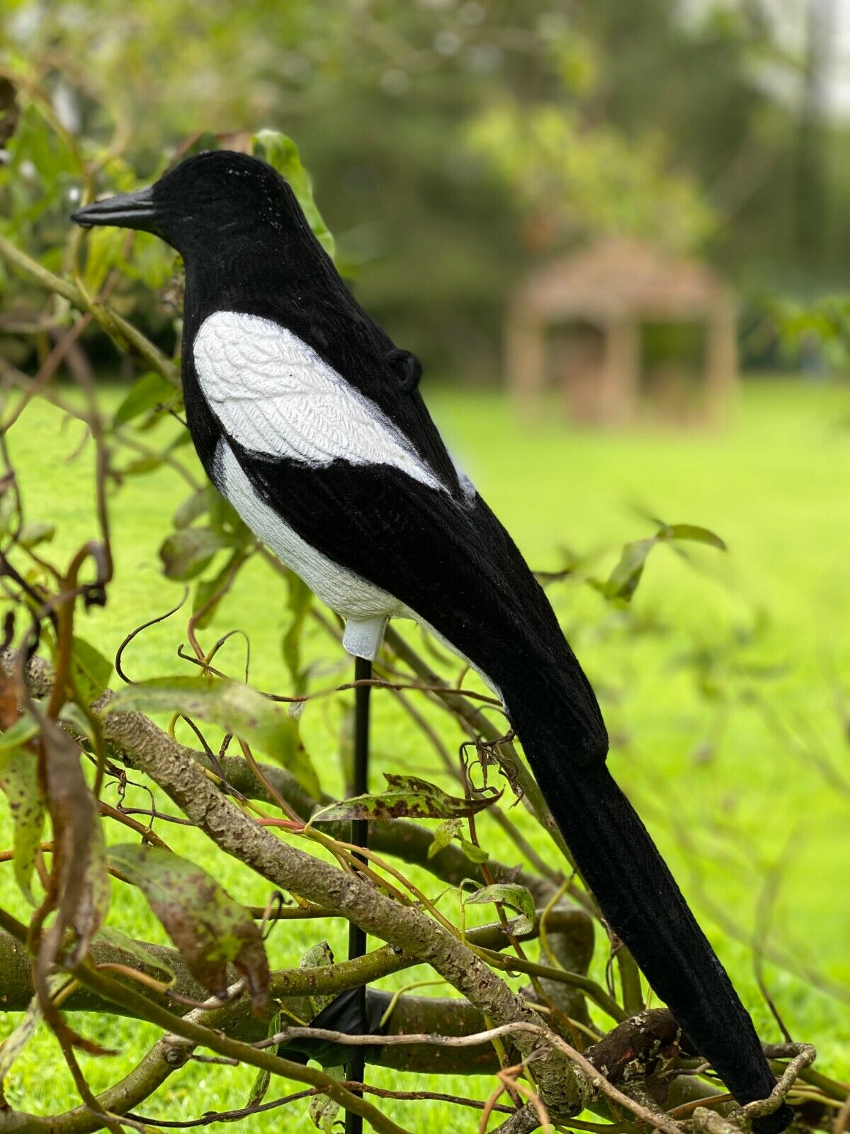 High Definition Flocked Magpie Full Bodied Decoy by WINDY, realistic bird decoy for hunting or bird control.