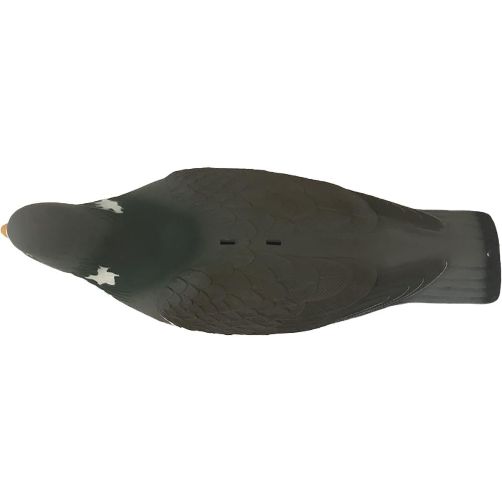 High Definition WINDY pigeon shell decoys for hunting, showing realistic bird decoys with detailed feather patterns