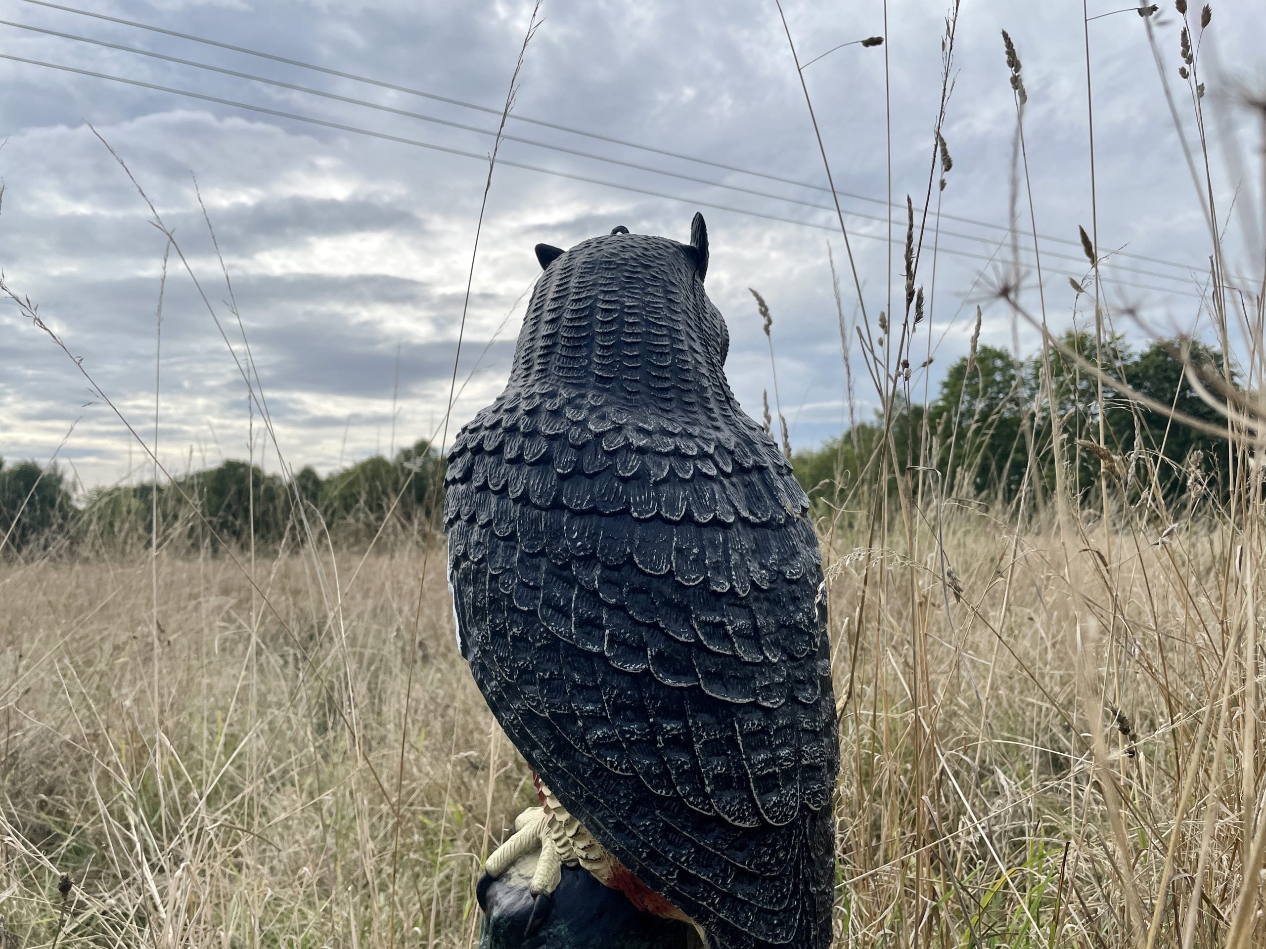 Large WINDY owl decoy bird scarer resembling a full-body pigeon and crow deterrent for pest control in gardens and farms.
