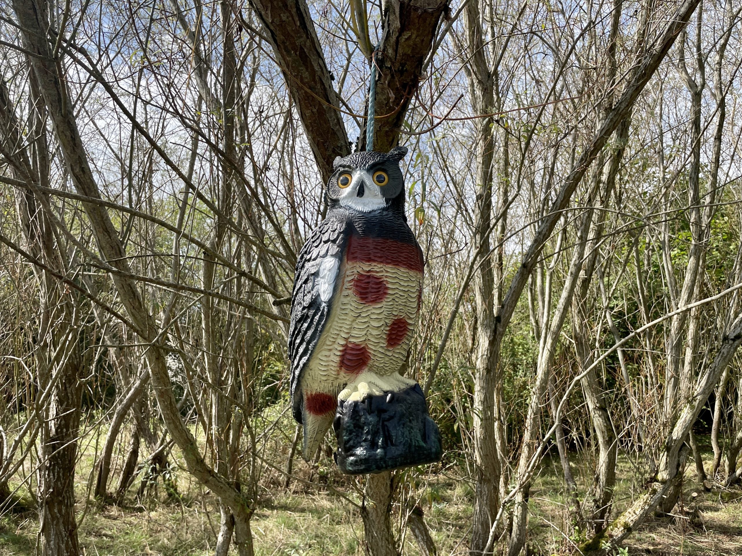Large WINDY owl decoy bird scarer resembling a full-body pigeon and crow deterrent to scare away pest birds.