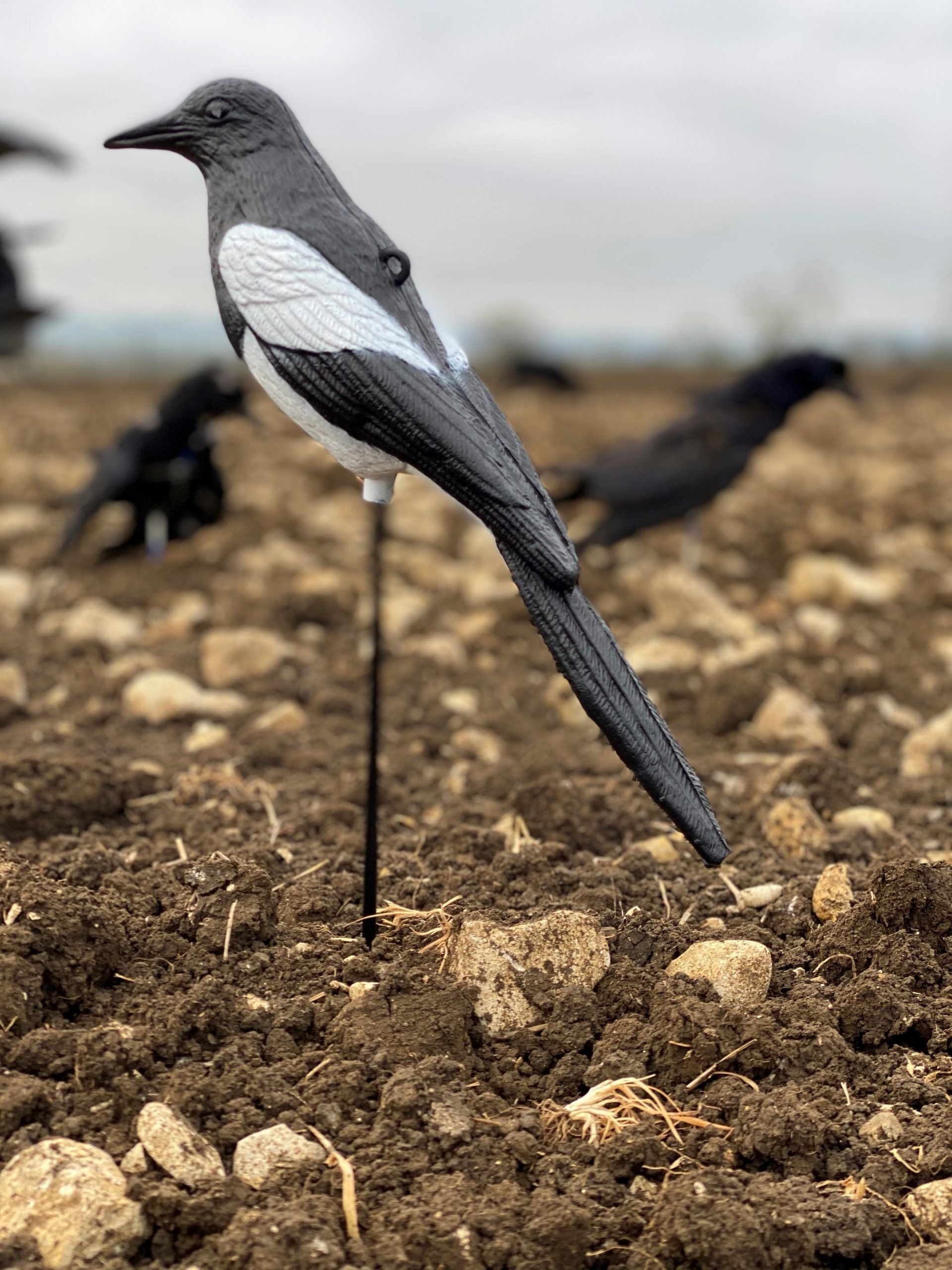 Plastic magpie decoys by WINDY, realistic bird decoys for outdoor pest control, showing detailed black and white bird figures.