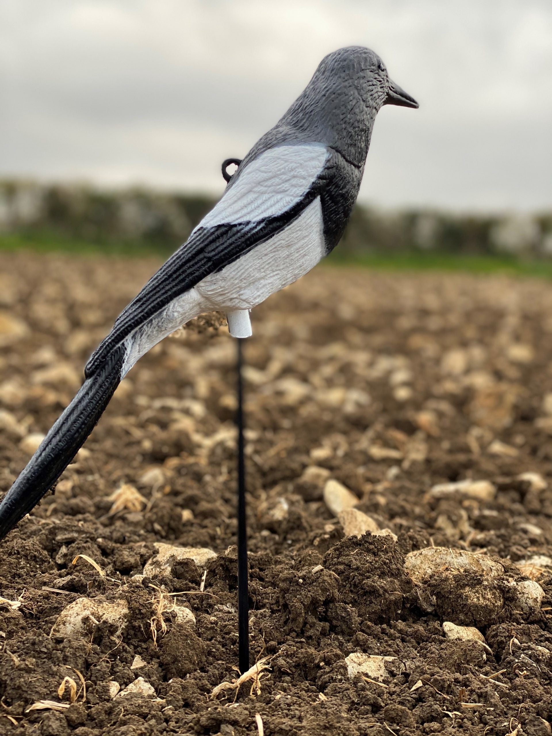 Windy plastic magpie decoys for bird control, featuring realistic design and bright colors to deter pests effectively.