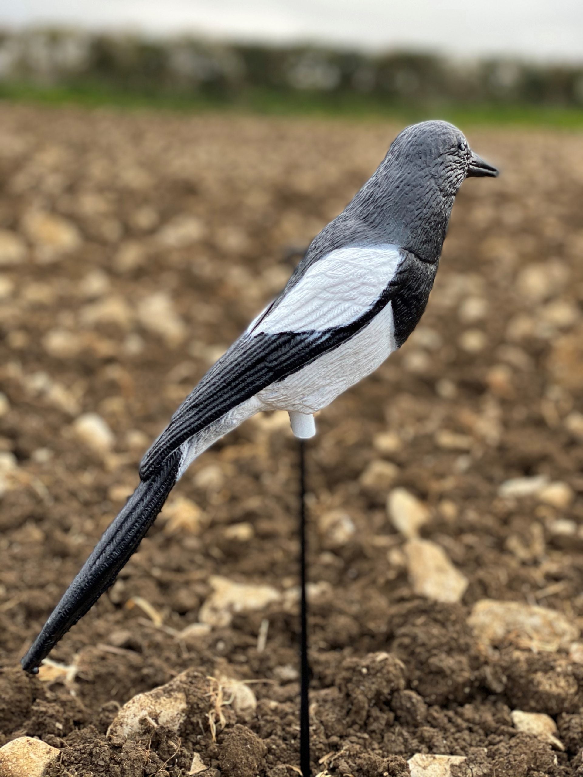 Plastic magpie decoys by WINDY, realistic bird decoys used for wildlife deterrence or outdoor decoration.