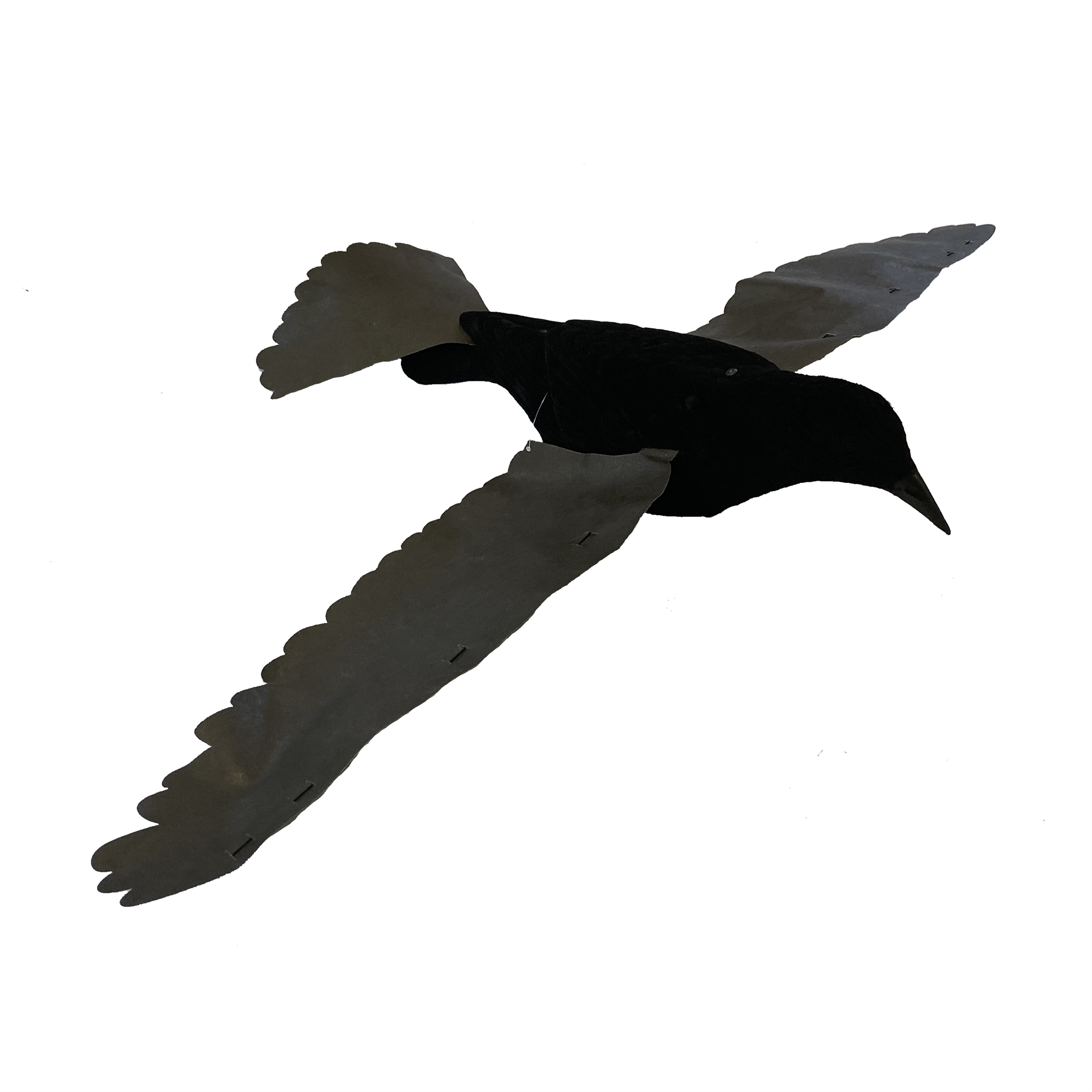 WINDY Proflap Crow Decoy for magnets and bouncers, realistic black crow decoy with detailed feathers for bird deterrence.