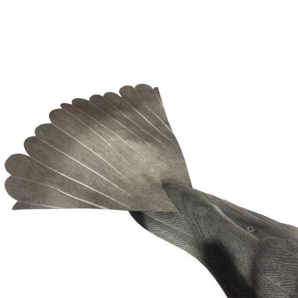 WINDY Proflap pigeon decoy designed for magnets and bouncers, realistic bird decoy for pest control applications.
