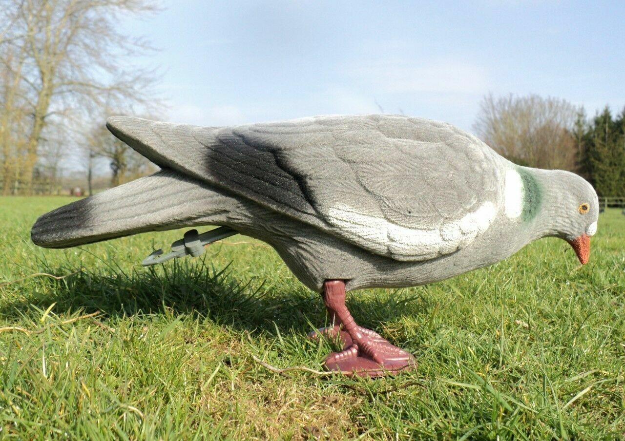 Flocked full body pigeon decoys with multiple positions by WINDY, designed for realistic bird hunting decoy setups.