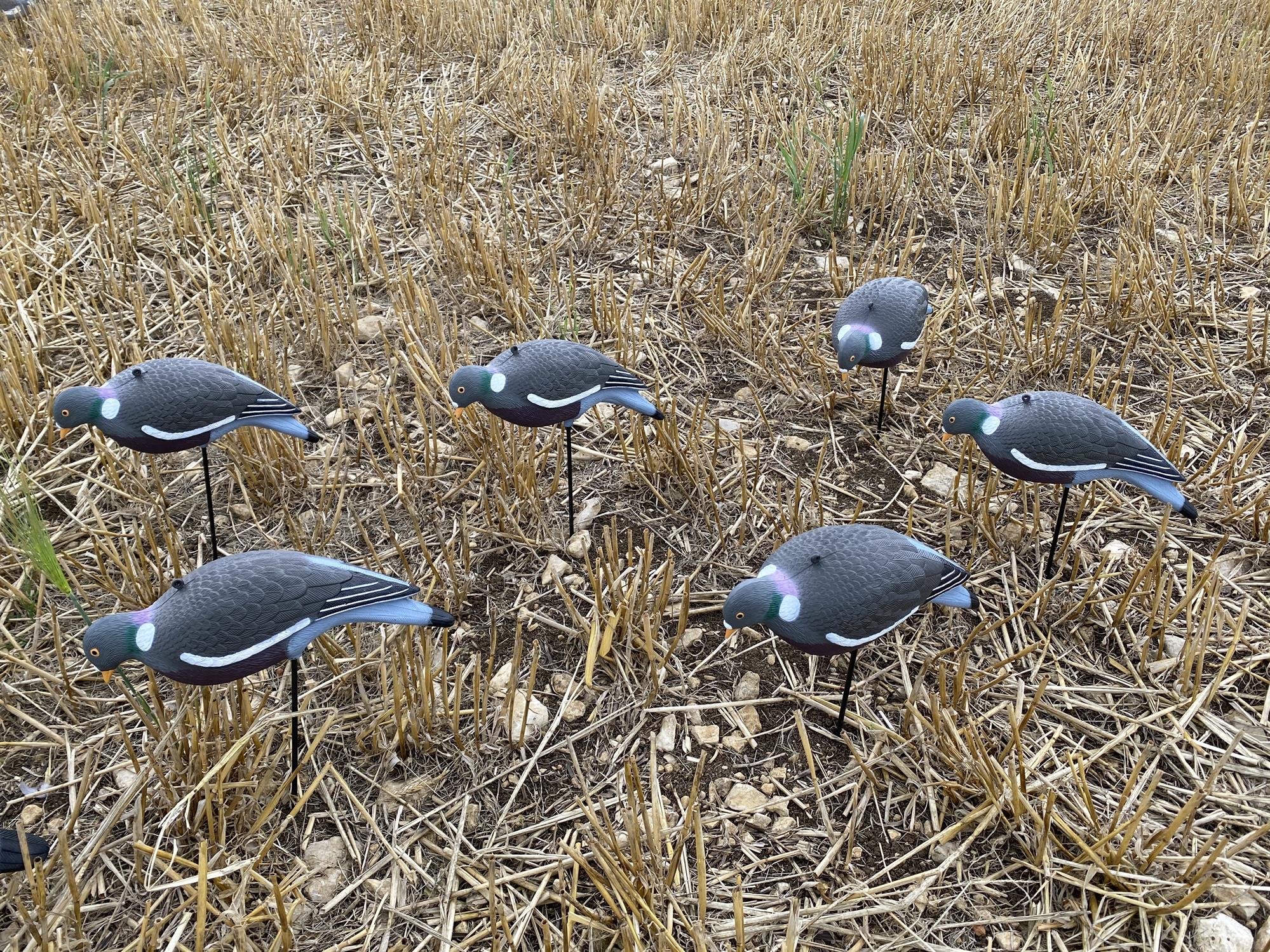 Windy HD Pigeon Decoy Kit showing realistic decoys designed for bird hunting or outdoor use.