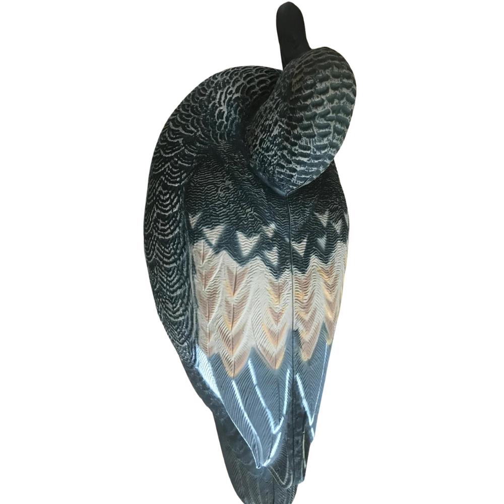 Floating WINDY Gadwall Duck Decoy in HD, male or female, realistic design for hunting or decoration.