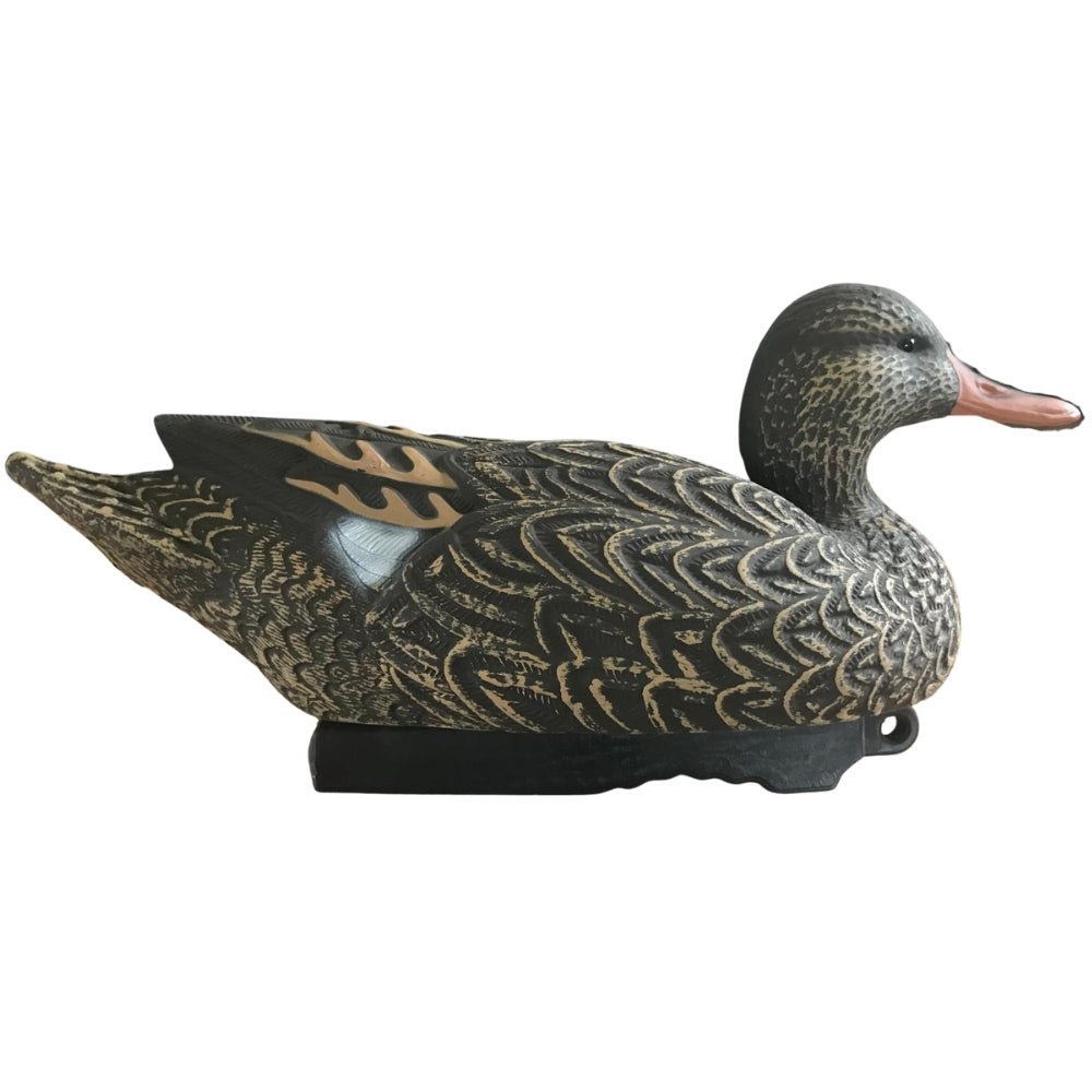 Floating WINDY Gadwall Duck Decoy, realistic HD male or female decoy for hunting or decoy spread.