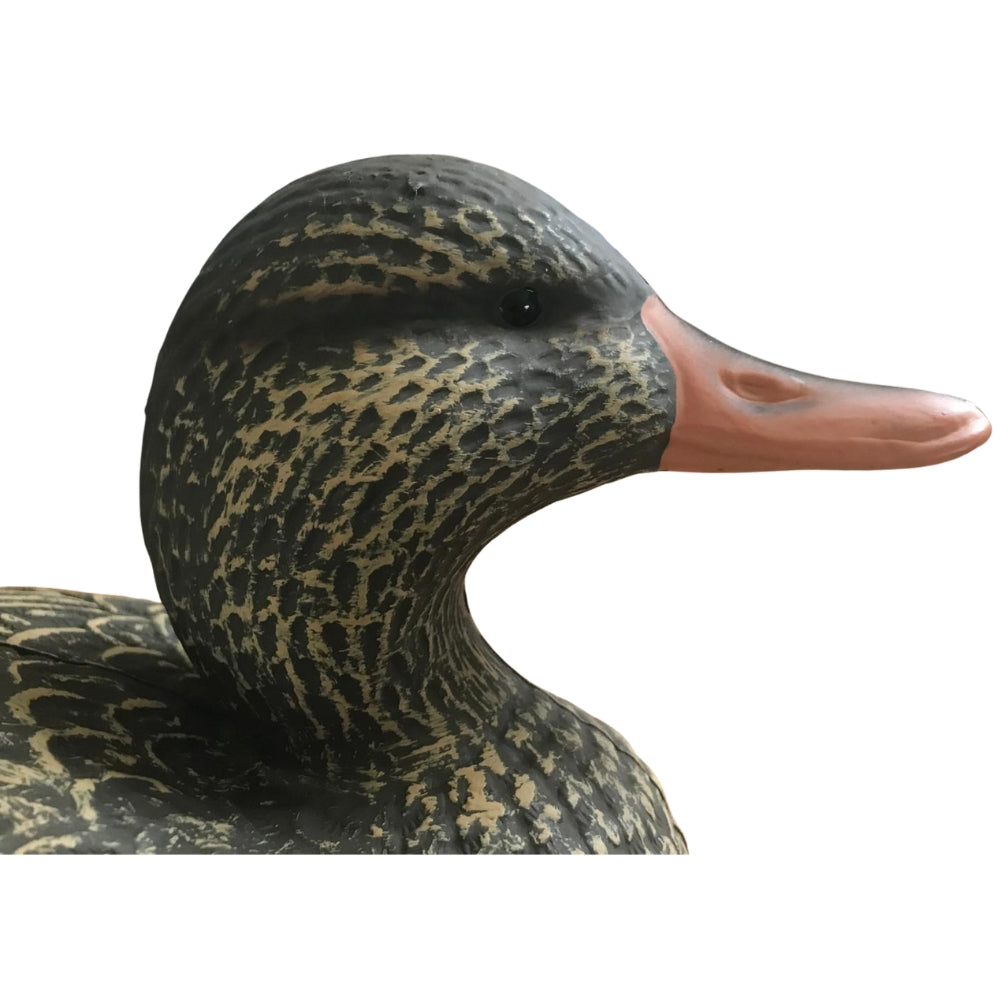 Floating WINDY Gadwall Duck Decoy featuring a realistic male or female decoy for hunting or decoration.