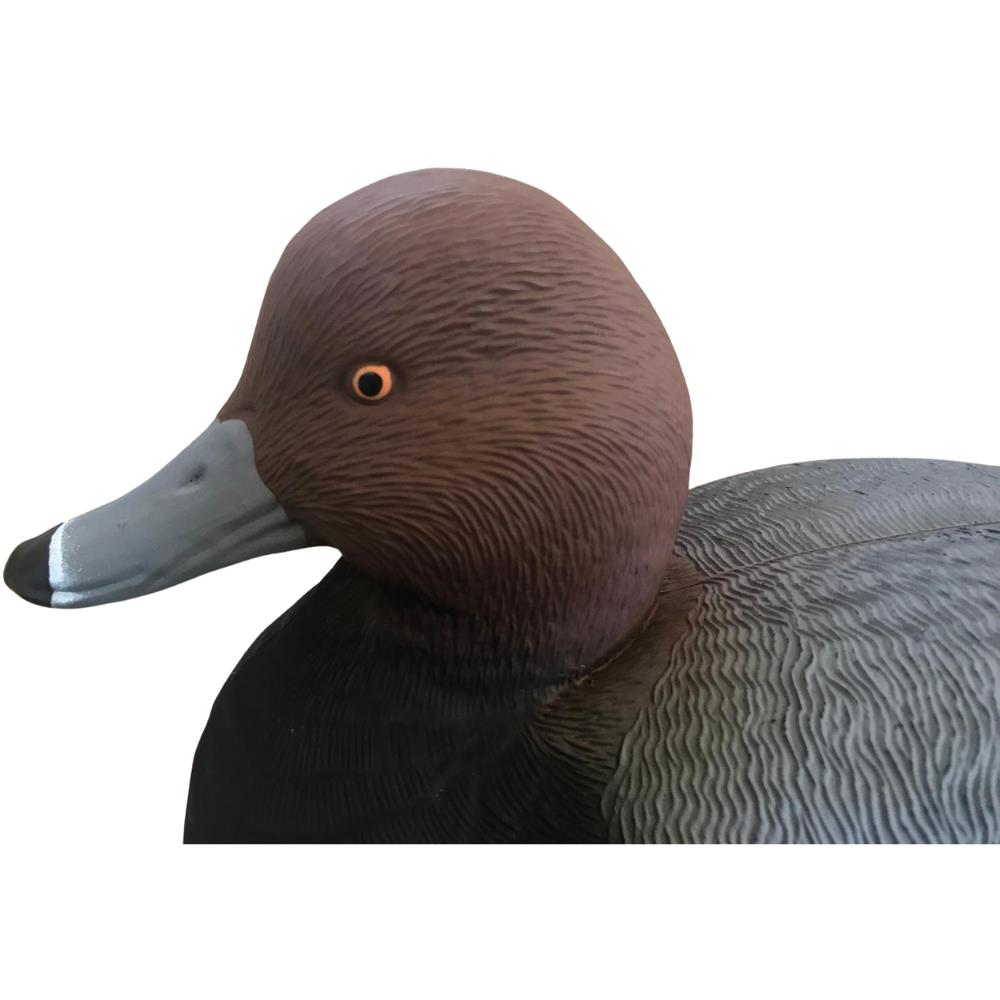 Floating WINDY Redhead Duck Decoy, realistic HD male or female decoy for hunting or decoy collection, shown on water.