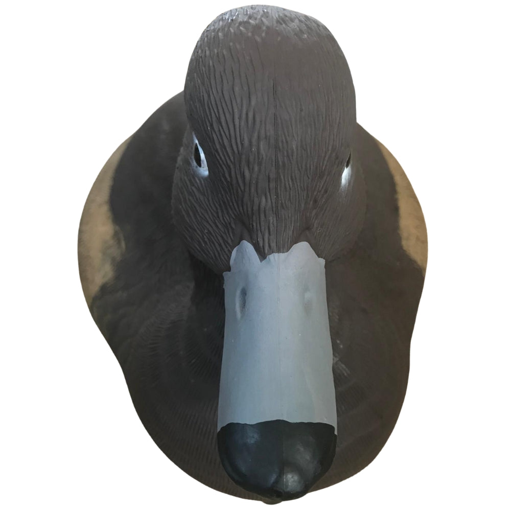 Floating HD Redhead Duck Decoy by WINDY, realistic male or female duck decoy for hunting or decoration, showing detailed design.