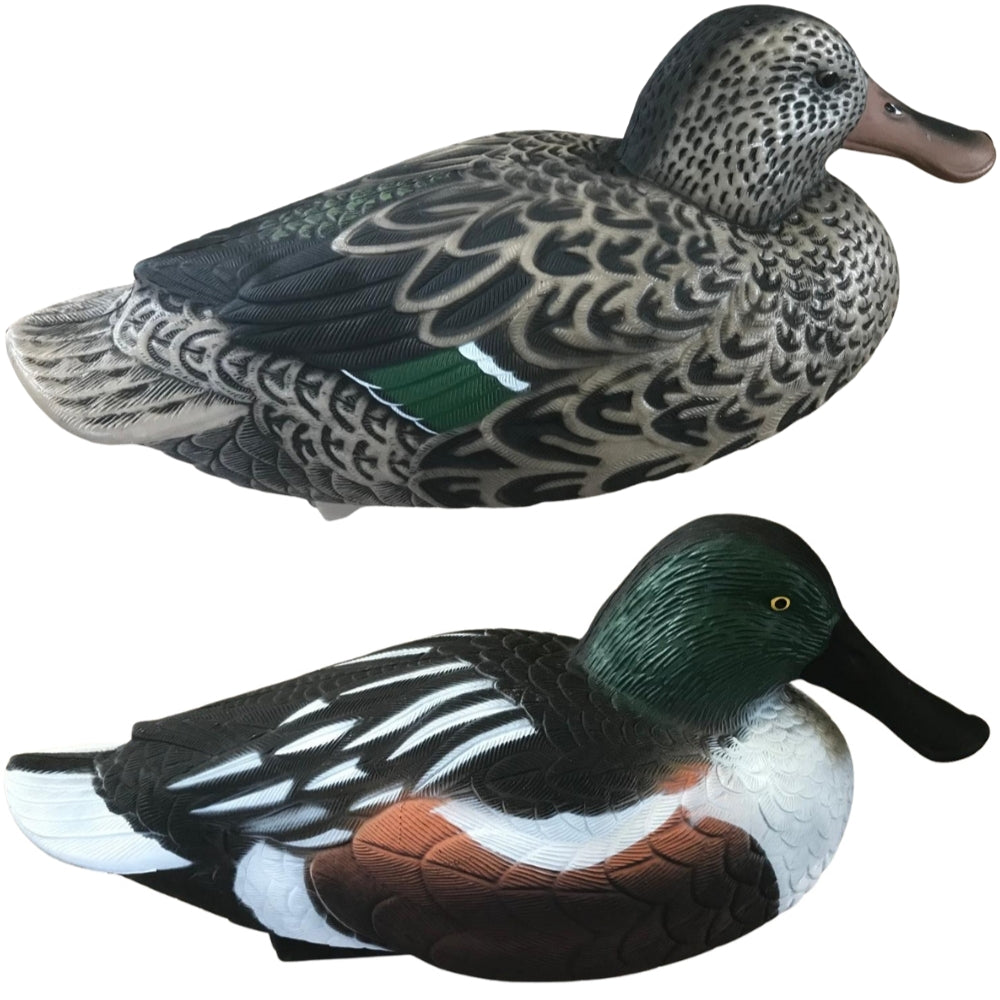 Floating WINDY Shoveller Duck Decoy with male or female HD design, realistic floating duck decoy for hunting or decor.