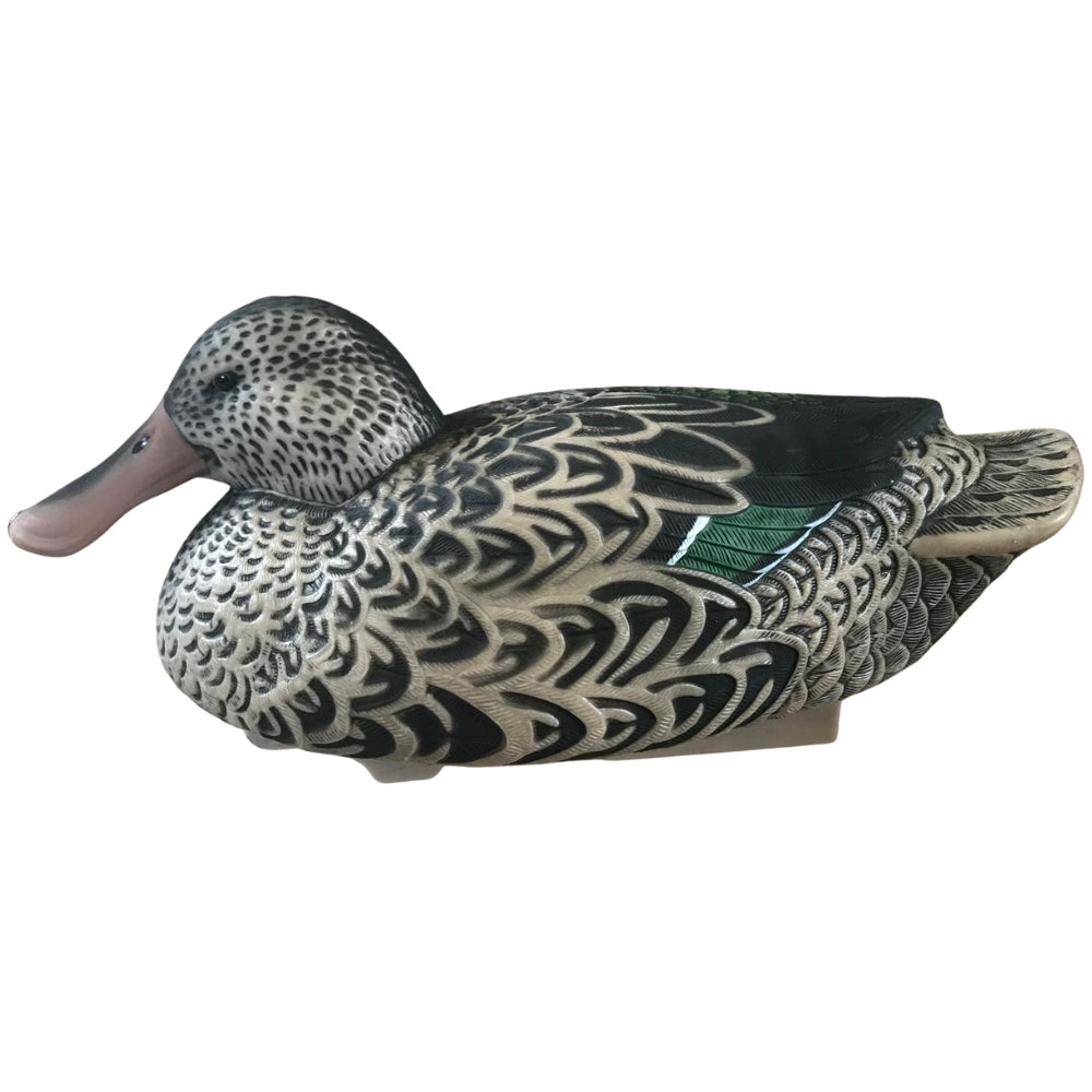Floating WINDY Shoveller Duck Decoy, HD male or female floating duck decoy for hunting or wildlife decor.