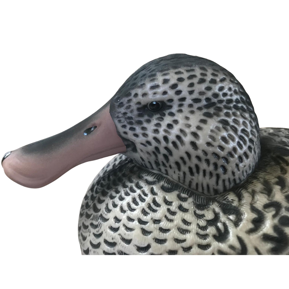 Floating WINDY Shoveller Duck Decoy featuring a realistic male or female duck for hunting or decoy displays.