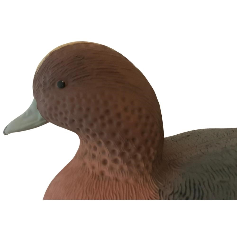 Floating HD Wigeon Duck Decoy by WINDY, realistic male or female decoy for hunting or decoy spreads.