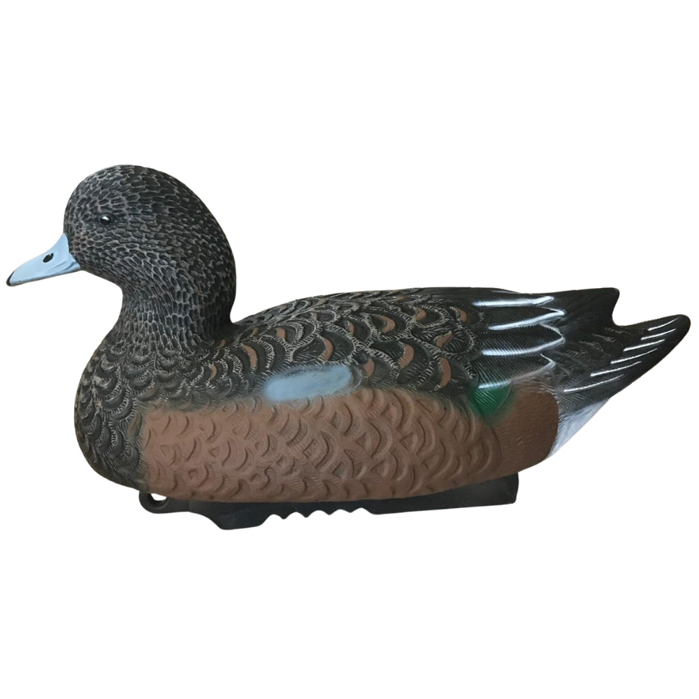 Floating HD Wigeon Duck Decoy from WINDY, realistic male or female decoy for hunting or decoy spreads.