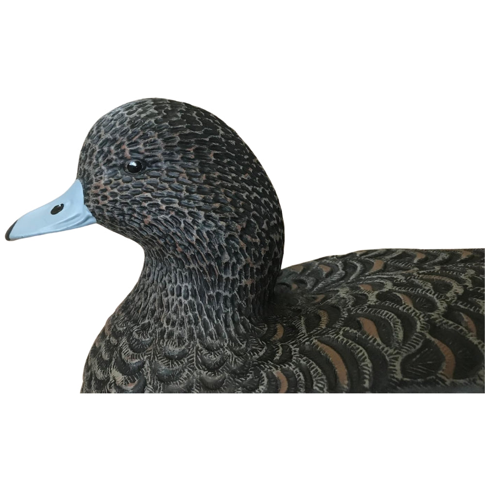 Floating HD Wigeon Duck Decoy from WINDY, depicting a realistic male or female Wigeon duck for hunting or decoy setups.