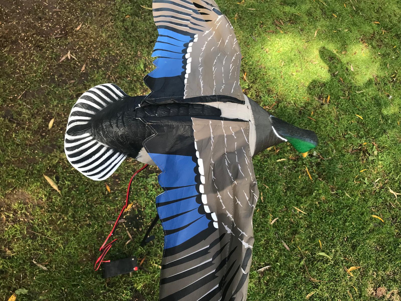 WINDY Flapping Mallard Duck Decoy for hunting or decoration, realistic duck shape with animated flapping wings.