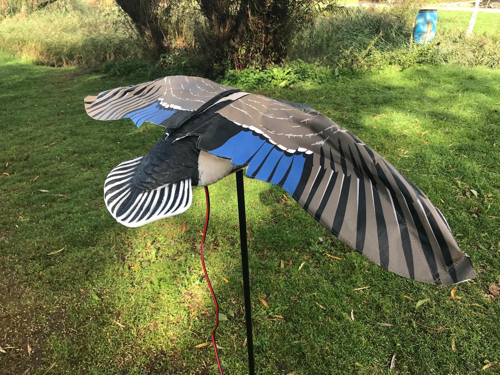 WINDY flapping mallard duck decoy for hunting or decoration, realistic design with detailed feathers and motion features.