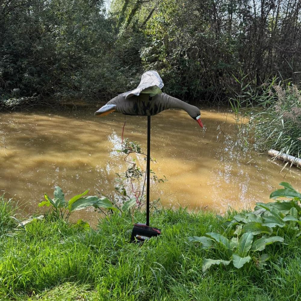 Windy Flapping Greylag Goose Decoy for hunting and decoy spread, realistic goose decoy with moving wings by WINDY