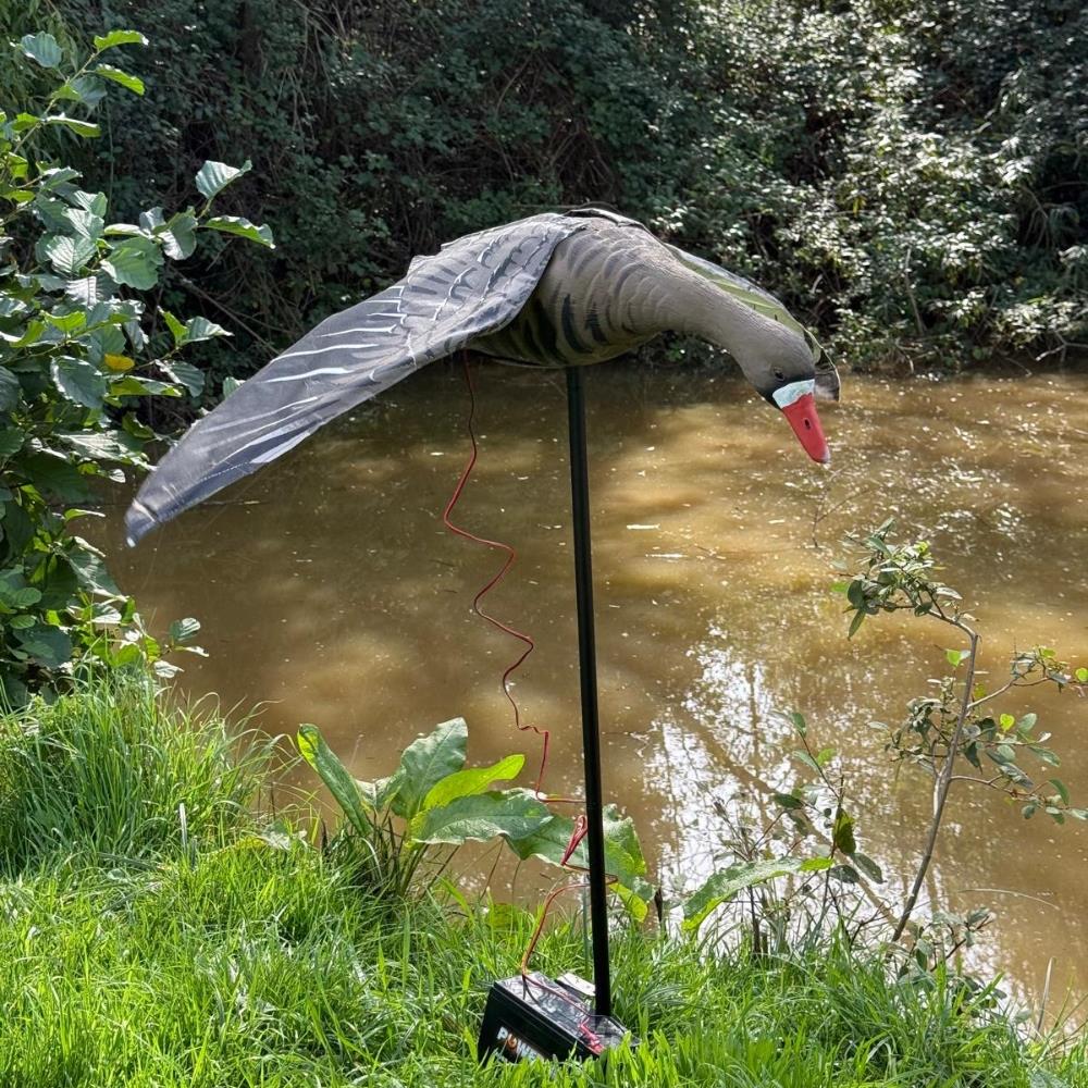 Windy Flapping Greylag Goose Decoy for hunting and bird control, realistic motion and detailed design in a durable decoy.