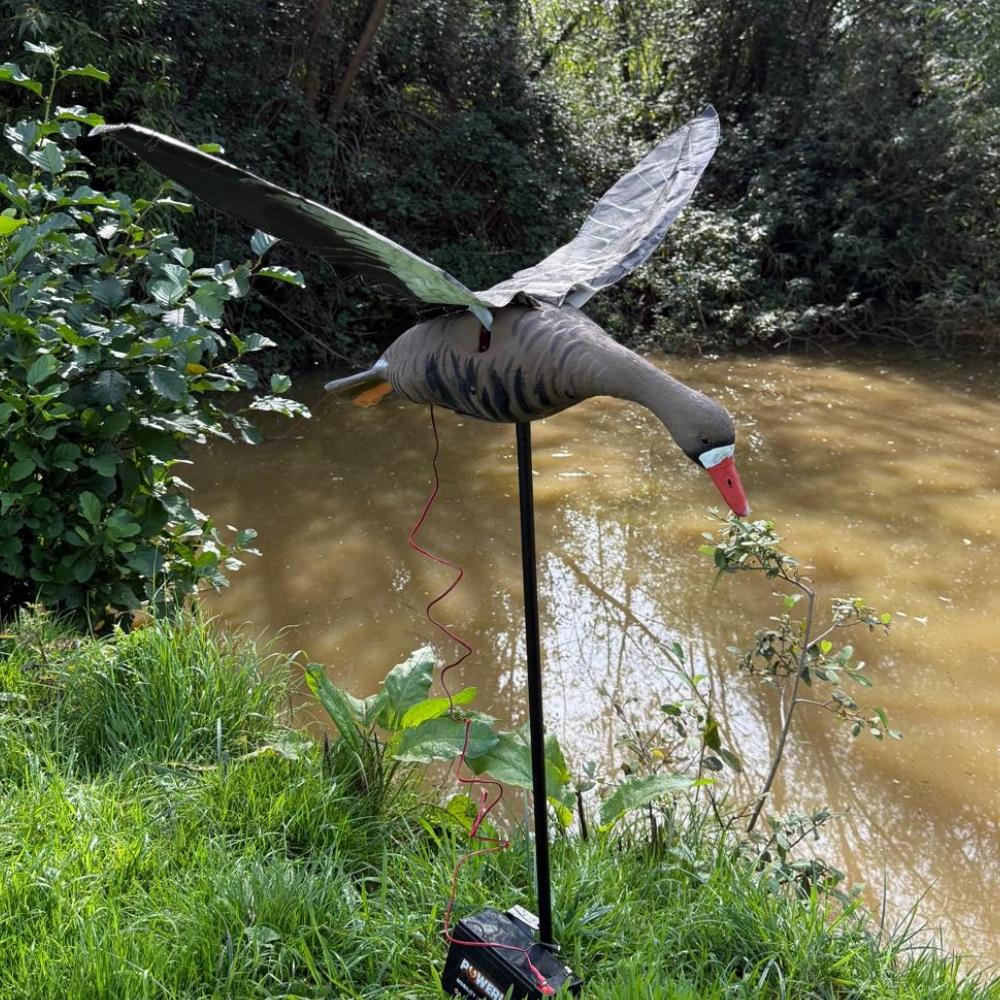 Windy flapping greylag goose decoy for goose hunting, realistic design with detailed feathers and lifelike posture
