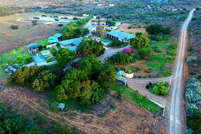 Africa Cull Hunt South Africa Port Elizabeth