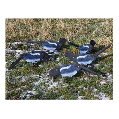 FUD Decoy Magpies