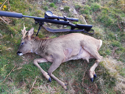 A1 Decoy Deer Stalking Syndicate with wild boar area in Forest of Dean, showing realistic decoys for hunting or wildlife observation.