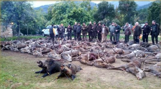 Spanish Monteria January 2021