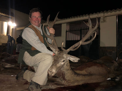 Spanish Monteria Red Stag November 2020