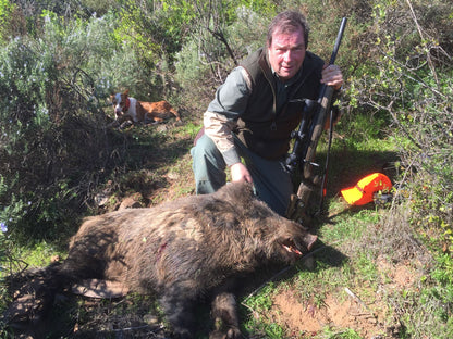 Spanish Monteria 30th - 31st January 2020