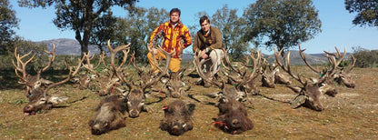 Spanish Monteria Red Stag November 2020