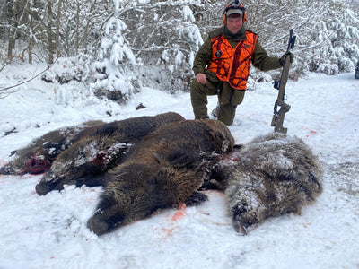 Driven Wild Boar Hunting in Turkey / Turkiye February 5th-10th 2027 5/6 Days Shooting Turkish Record