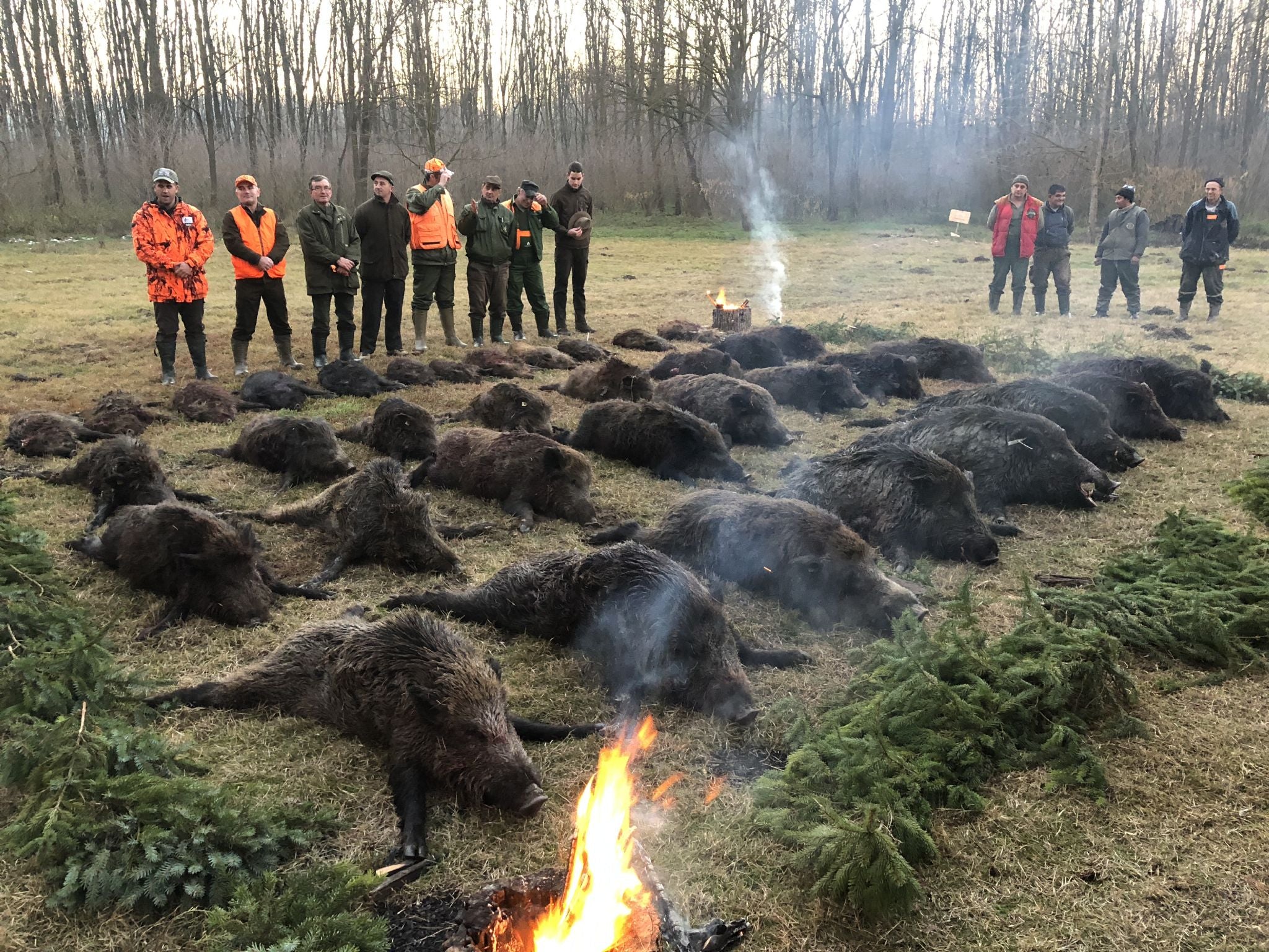 Mouflon and Traditional Monteria January 2019