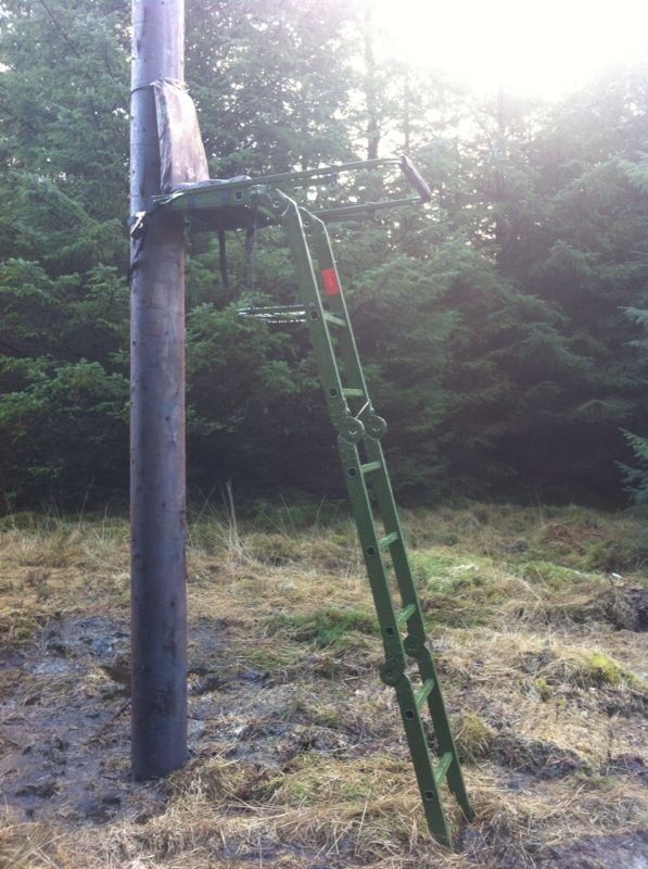 Folding High Seat