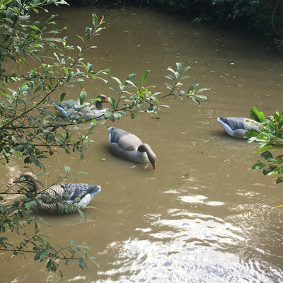 FLAMBEAU GREYLAG FLOATER WEIGHTED KEEL