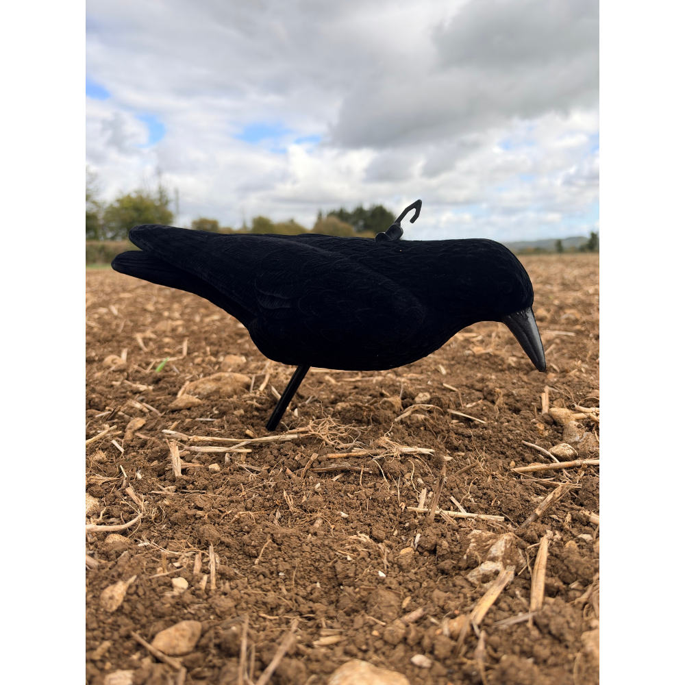 WINDY whole body flocked crow decoys for hunting and bird control, realistic black crow replicas with detailed flocked feathers.