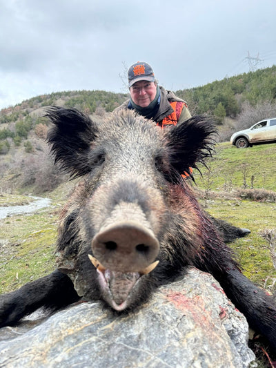 Driven Wild Boar Hunting in Turkey / Turkiye February 5th-10th 2027 5/6 Days Shooting Turkish Record