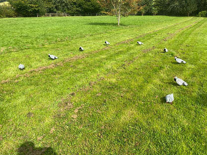 A1 DECOY PIGEON PACK