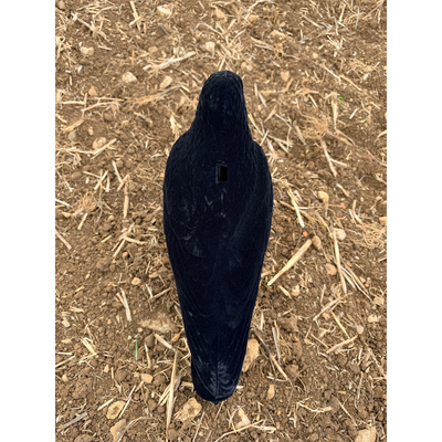 Windy whole body flocked crow decoy for hunting or wildlife observation, realistic black crow with detailed feather texture.