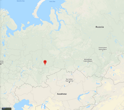 Siberian Roe Deer Trip to Russia New and Improved Prices!