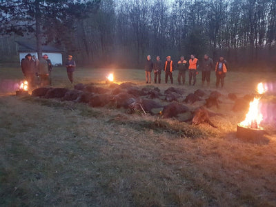 DRIVEN WILD BOAR SERBIA TRIPS Available 2026 Season